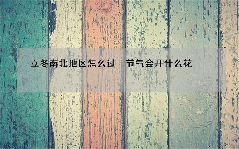 立冬南北地区怎么过 节气会开什么花